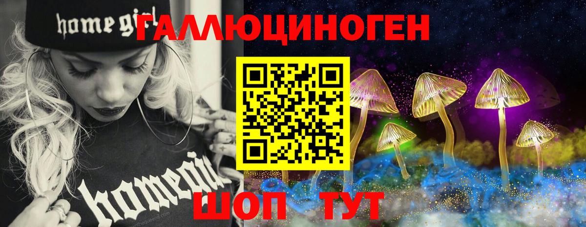 Псилоцибиновые грибы мицелий Сальск