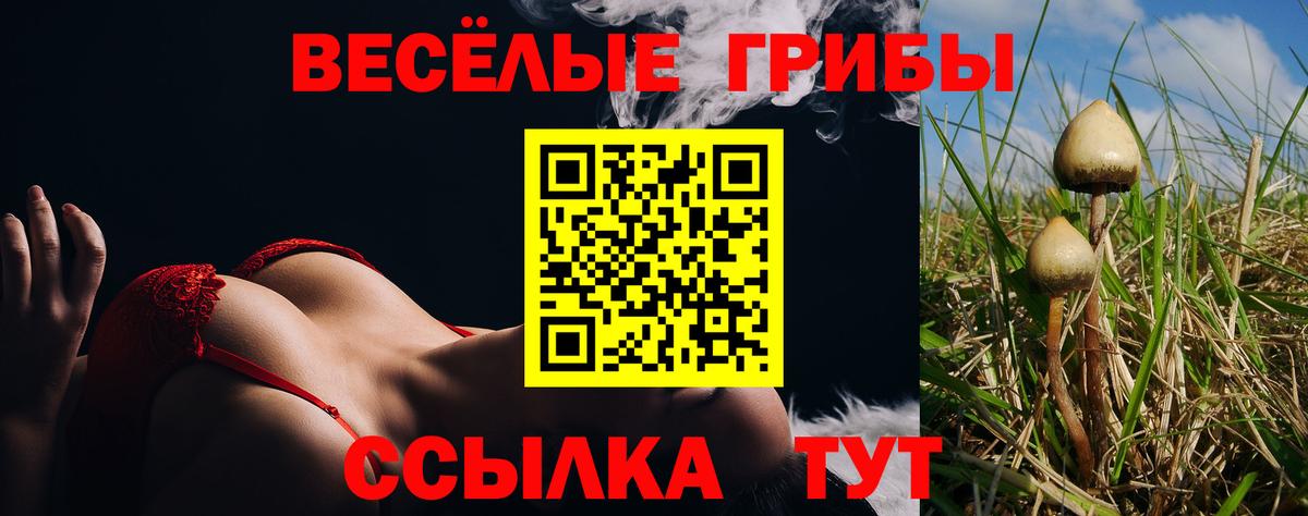 Псилоцибиновые грибы прущие грибы  Вход с VPN  Псилоцибиновые грибы мицелий  купить закладку  Сальск 