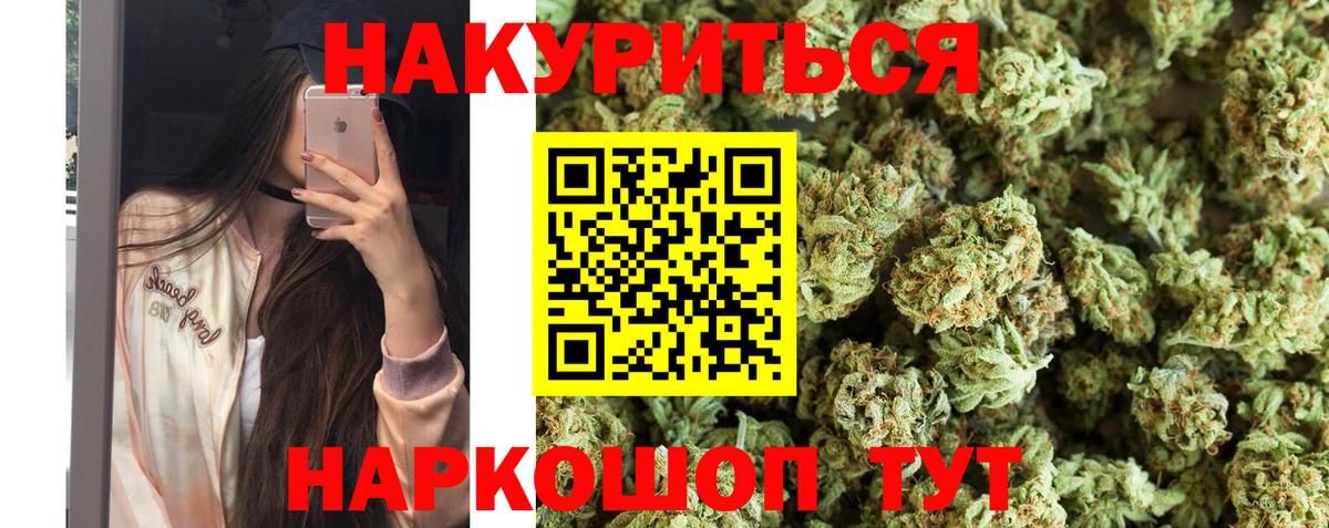 Бошки Шишки план Сальск